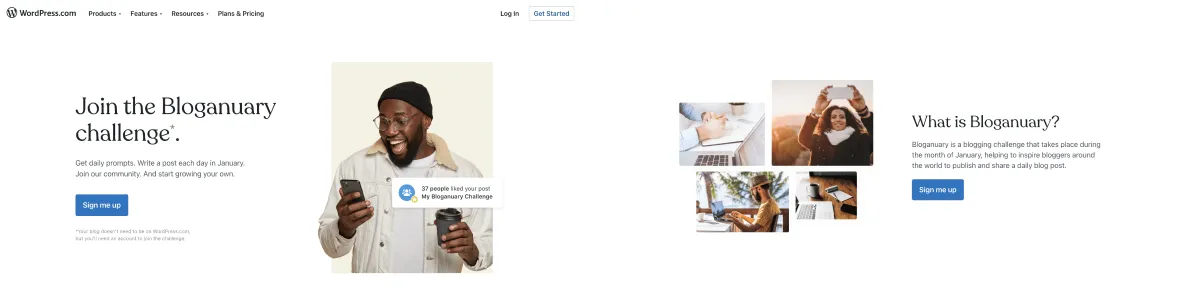 Wordpress